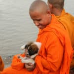 A Cambodian monk holds a puppy sitting along the river in Phnom Penh
