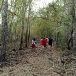 Intrepid Responsible Tourism - Intrepid Tours hiking through Cambodian forest