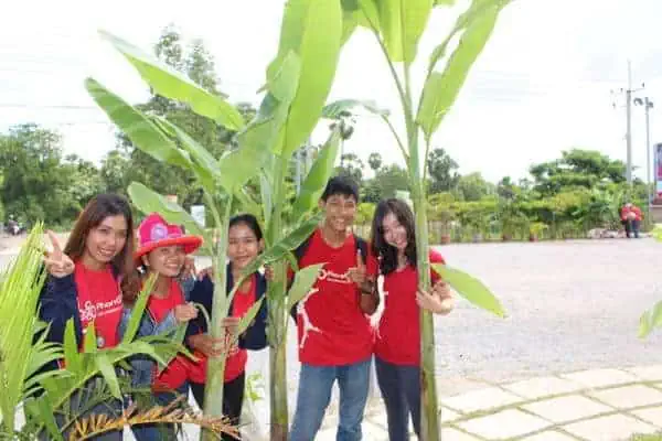 Tree planting at the new Phare Circus location - staff holding banana trees to be planted