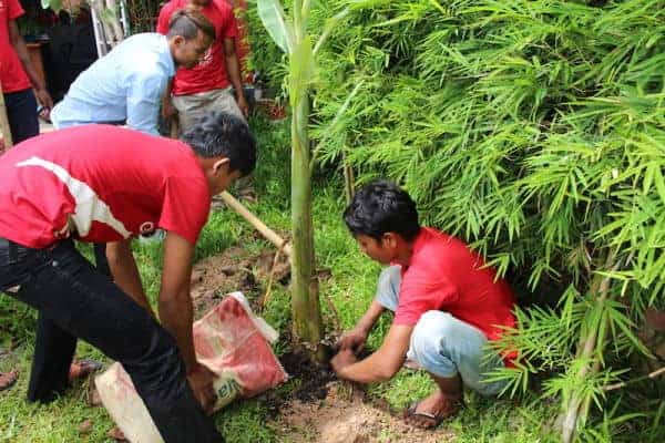 Phare Circus Siem Reap tree planting - technicians plant banana tree