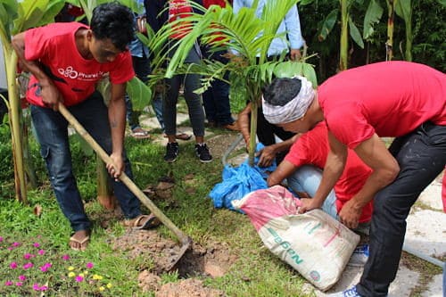 Phare Circus Siem Reap tree planting - staff planting small coconut trees