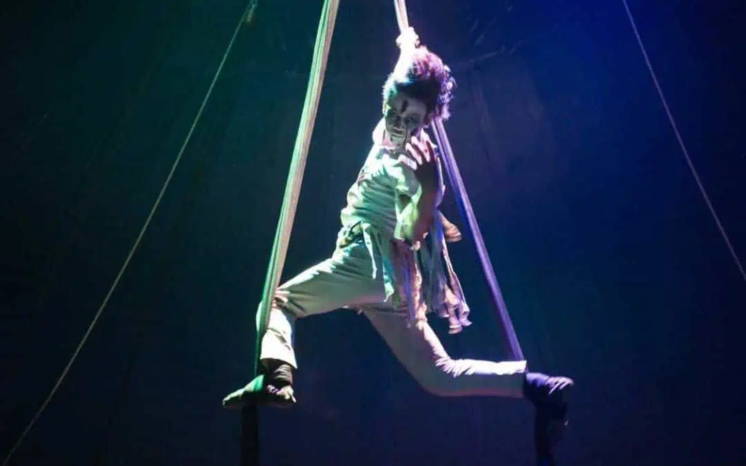 5 Facts you Didn’t Know: Aerial Acrobatics