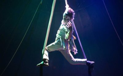 5 Facts you Didn’t Know: Aerial Acrobatics