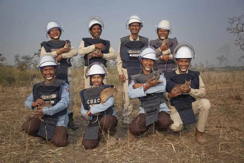 A group of APOPO de-mining hero rats and their trainers standing and kneeling in a field